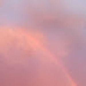 Meet your Posher, Maya